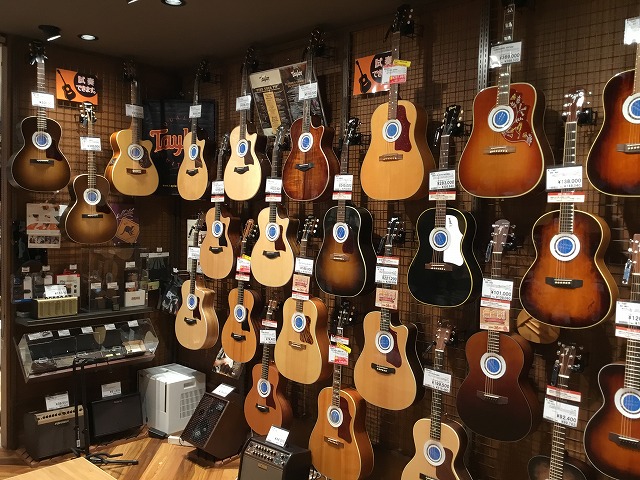 【アコースティックギター】Martinフェア開催！普段はお店に並ばないラインナップも登場！