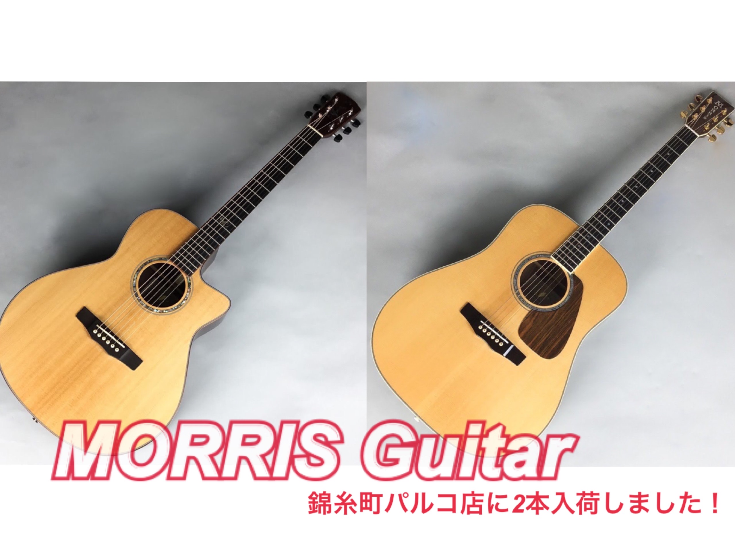 【日本製ギター MORRIS】アコースティックギター2本入荷！～ブランド解説～