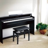 【新製品】CELVIANO(セルビアーノ)AP-S5000GP 島村楽器限定モデル　ご予約受付中🎹