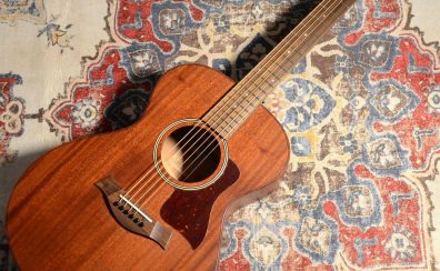 【Taylor入荷情報 Vol.2】AD22e【選定品】AmericanDream新製品