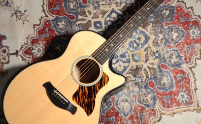 【Taylor入荷情報 Vol.3】50th Anniversary Builder’s Edition 314ce LTD【選定品】