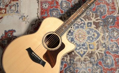 【Taylor入荷情報 Vol.5】814ce J-Spec日本限定モデル