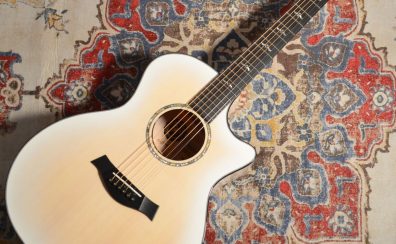 【Taylor入荷情報 Vol.6】50th Anniversary 614ce LTD