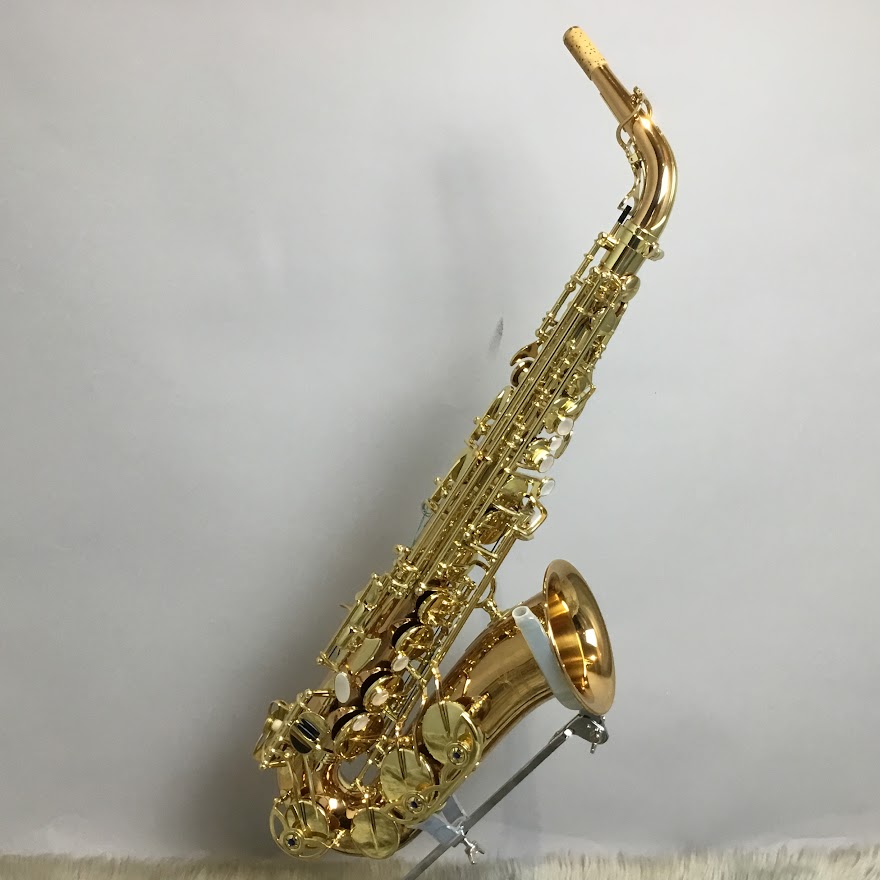YANAGISAWA アルトサックスA-WO20