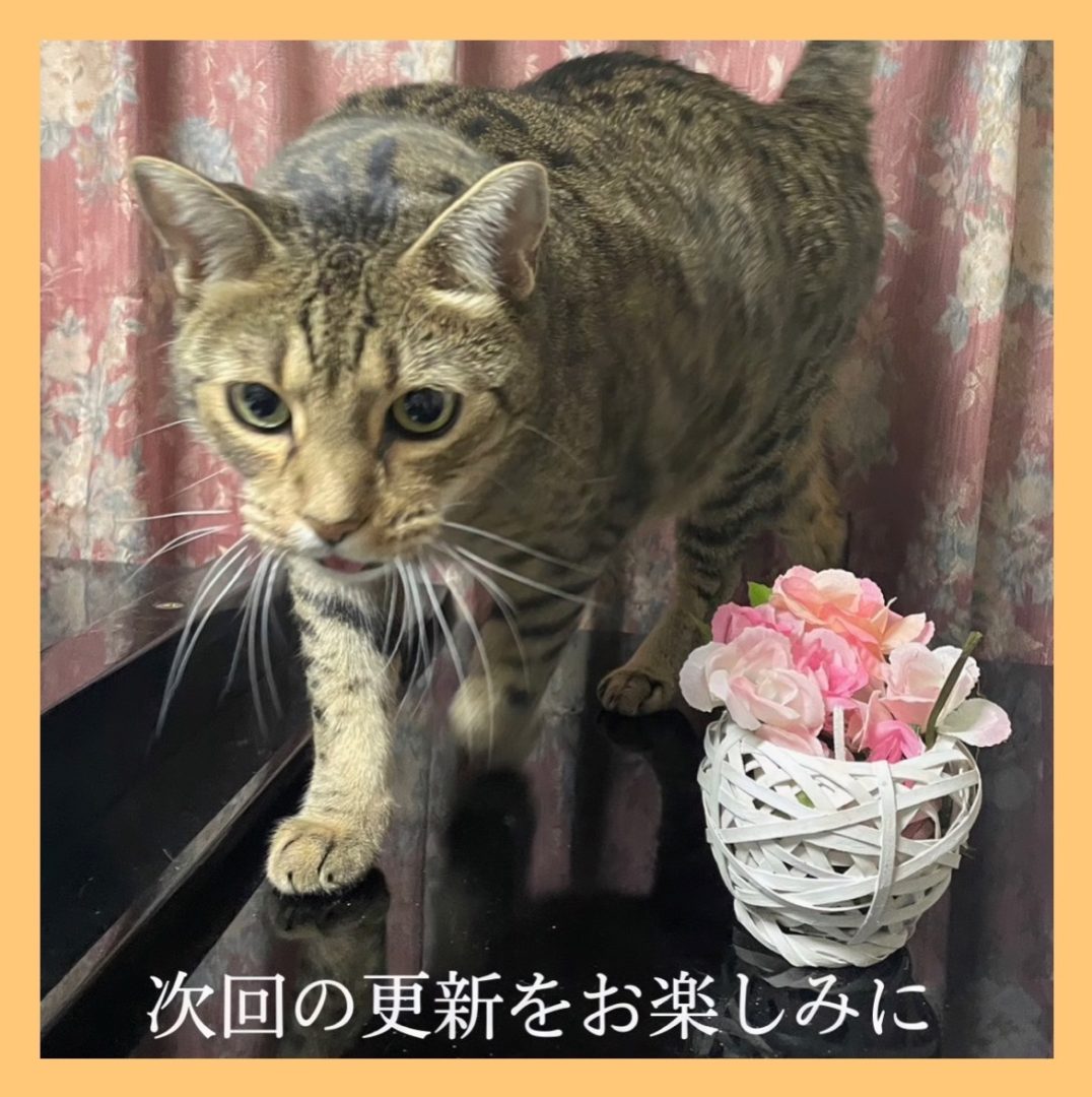 カジラジオ ピアノ 音楽教室 梶 錦糸町 丸井錦糸町 島村楽器