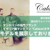 Calace(カラーチェ)マンドリン・ラインナップ一覧