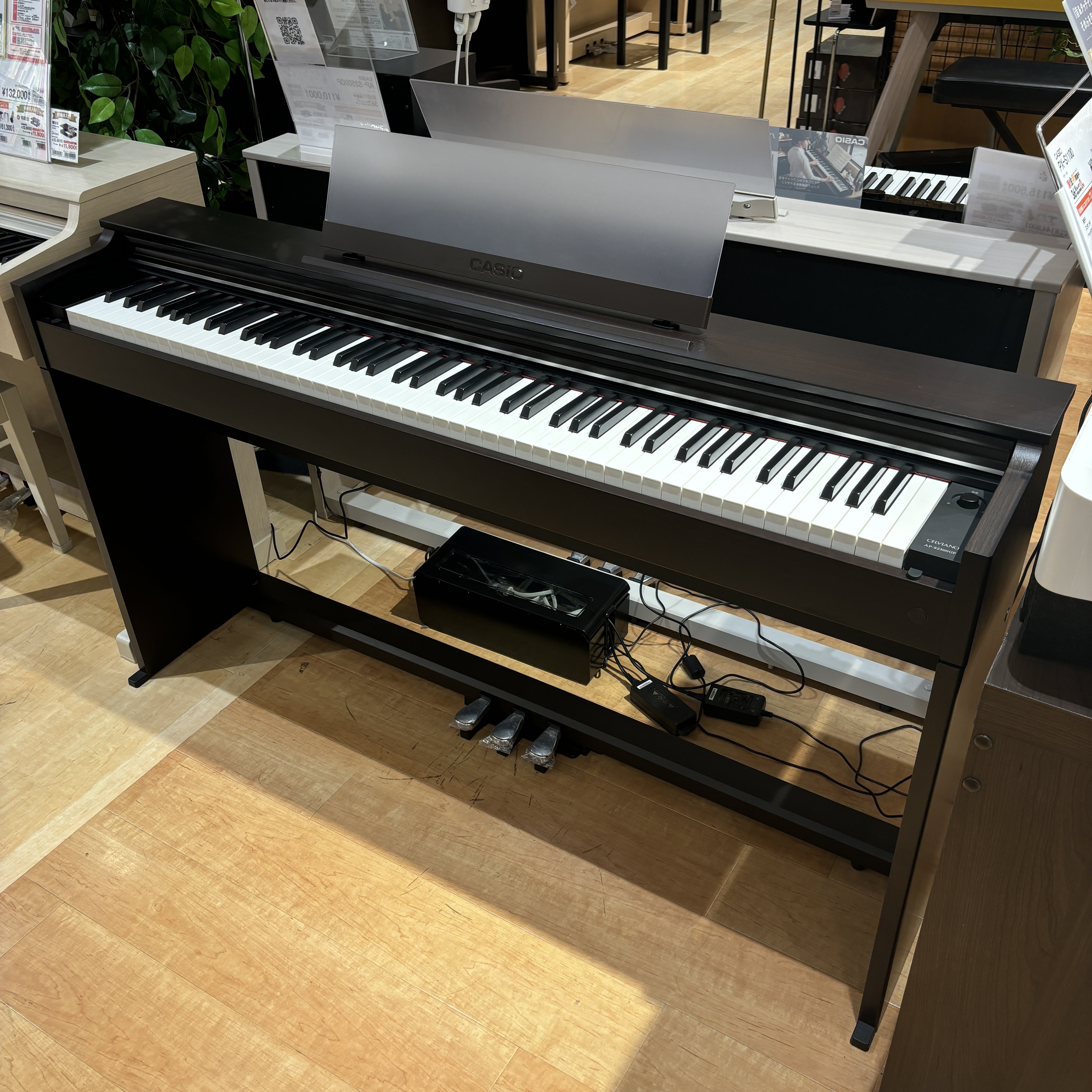 CASIOAP-S2500GP ※展示品1台限りの特別価格