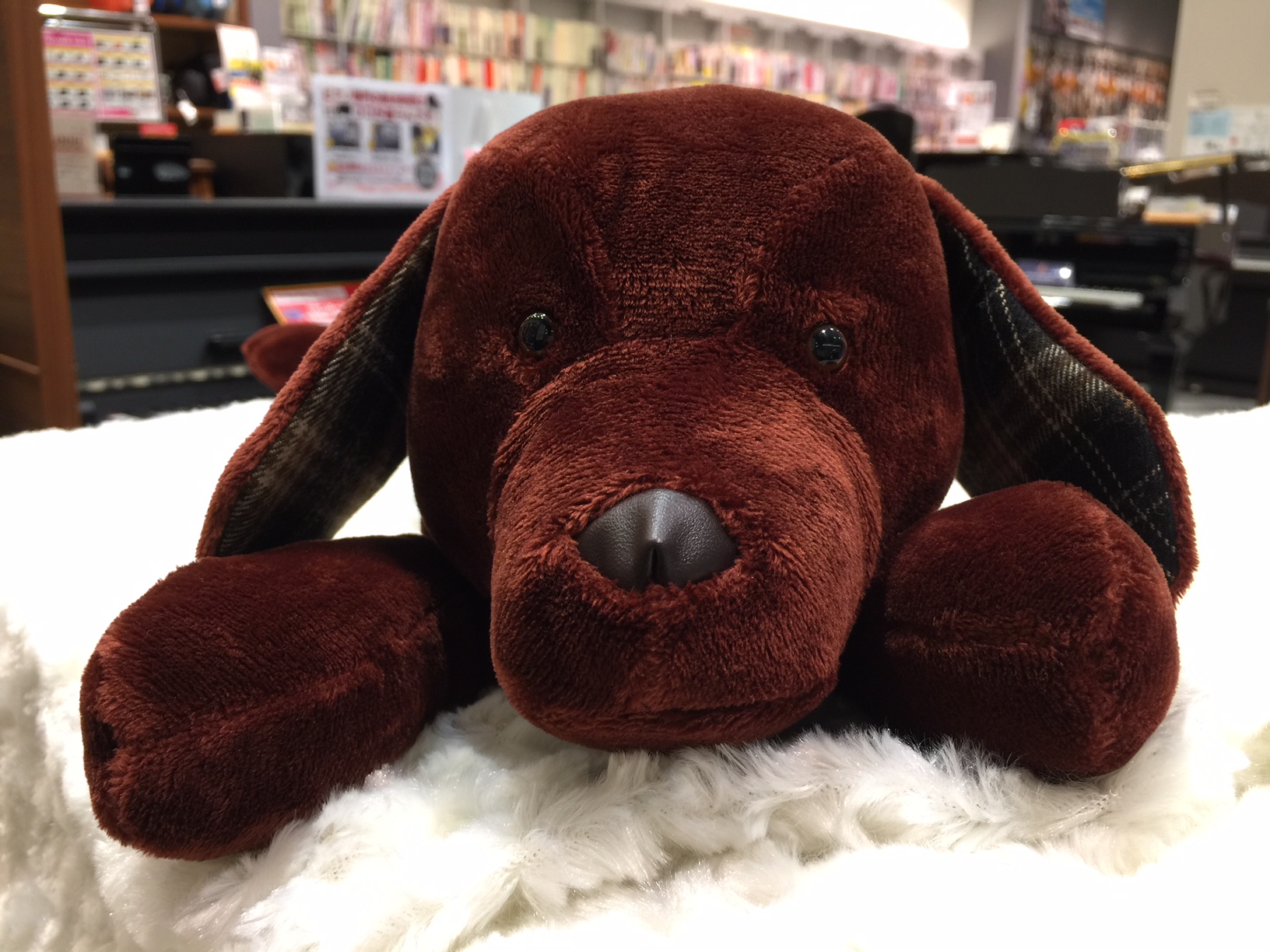 フルート 犬 ダックス型のフルートケースが再入荷しました イオンモール神戸北店 店舗情報 島村楽器 フルート 犬 ダックス型のフルートケースが再入荷しました イオンモール神戸北店 店舗情報 島村楽器