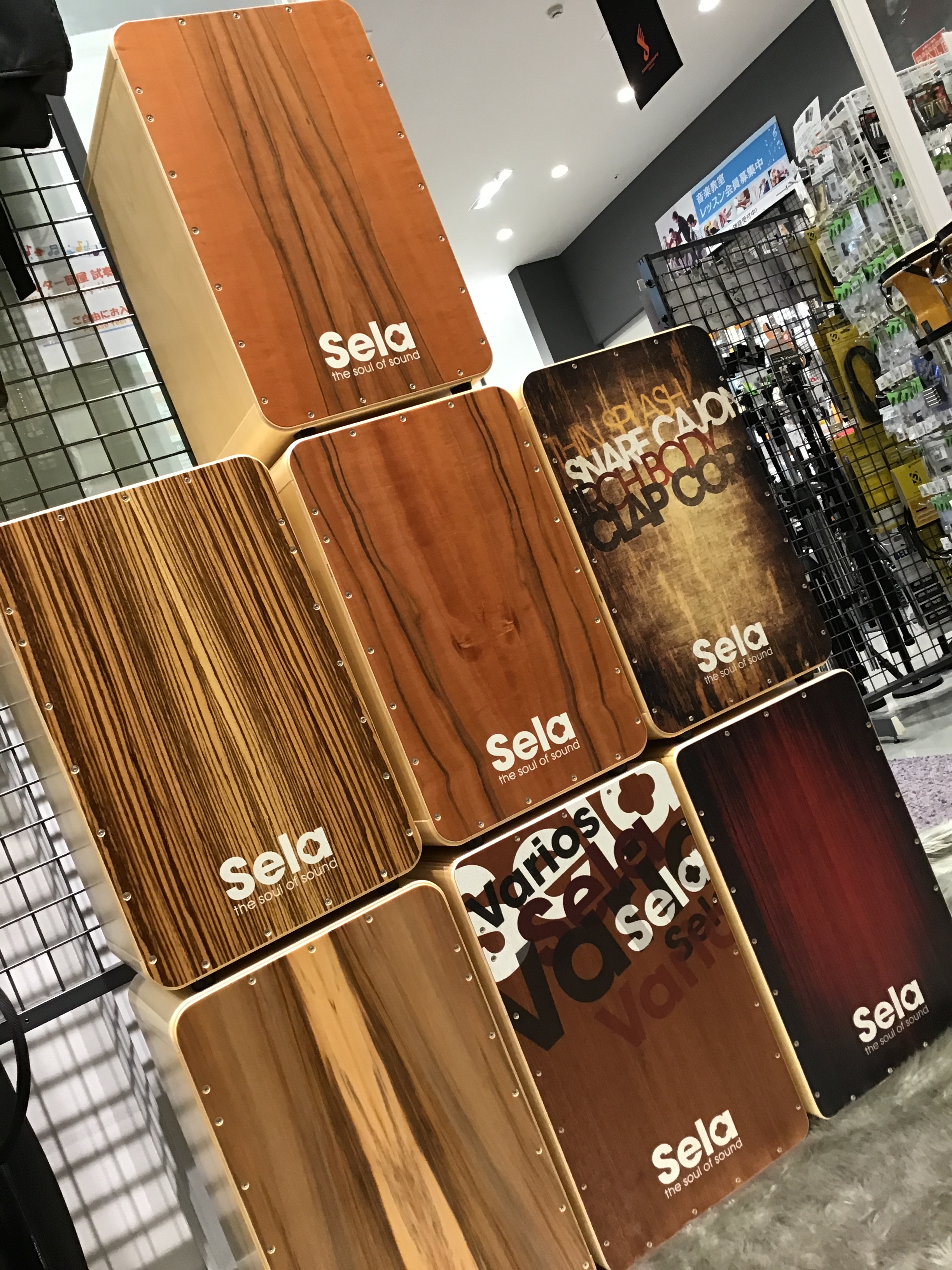 【カホン】SELA CAJON大量入荷【SALE】