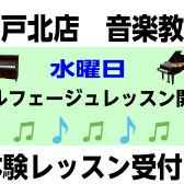 新規開講！【音楽教室】水曜日ソルフェージュスクール 安岡志歩 講師紹介