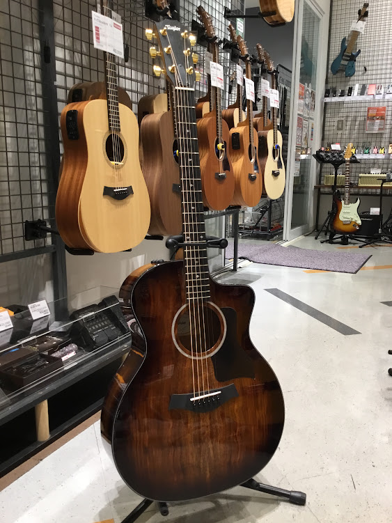 Taylor224ce-Koa DLX