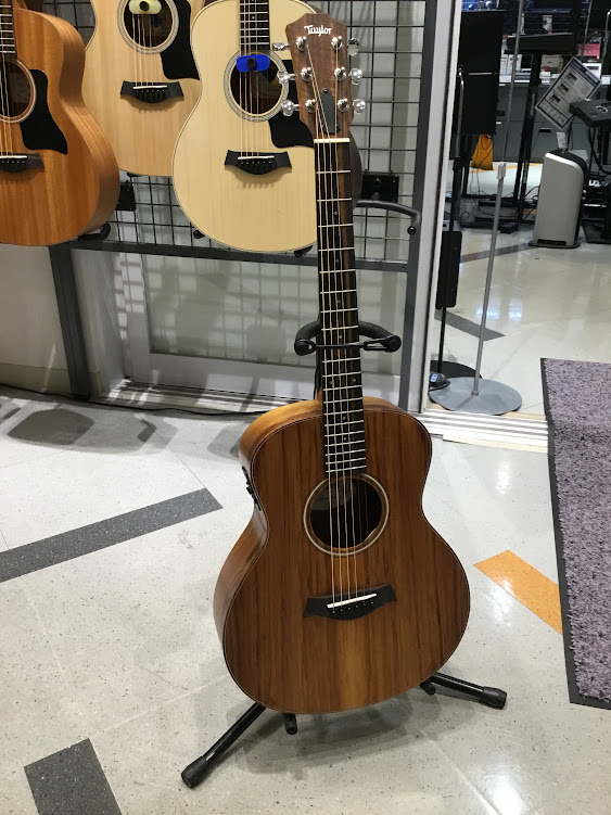 TaylorGS Mini-e KOA