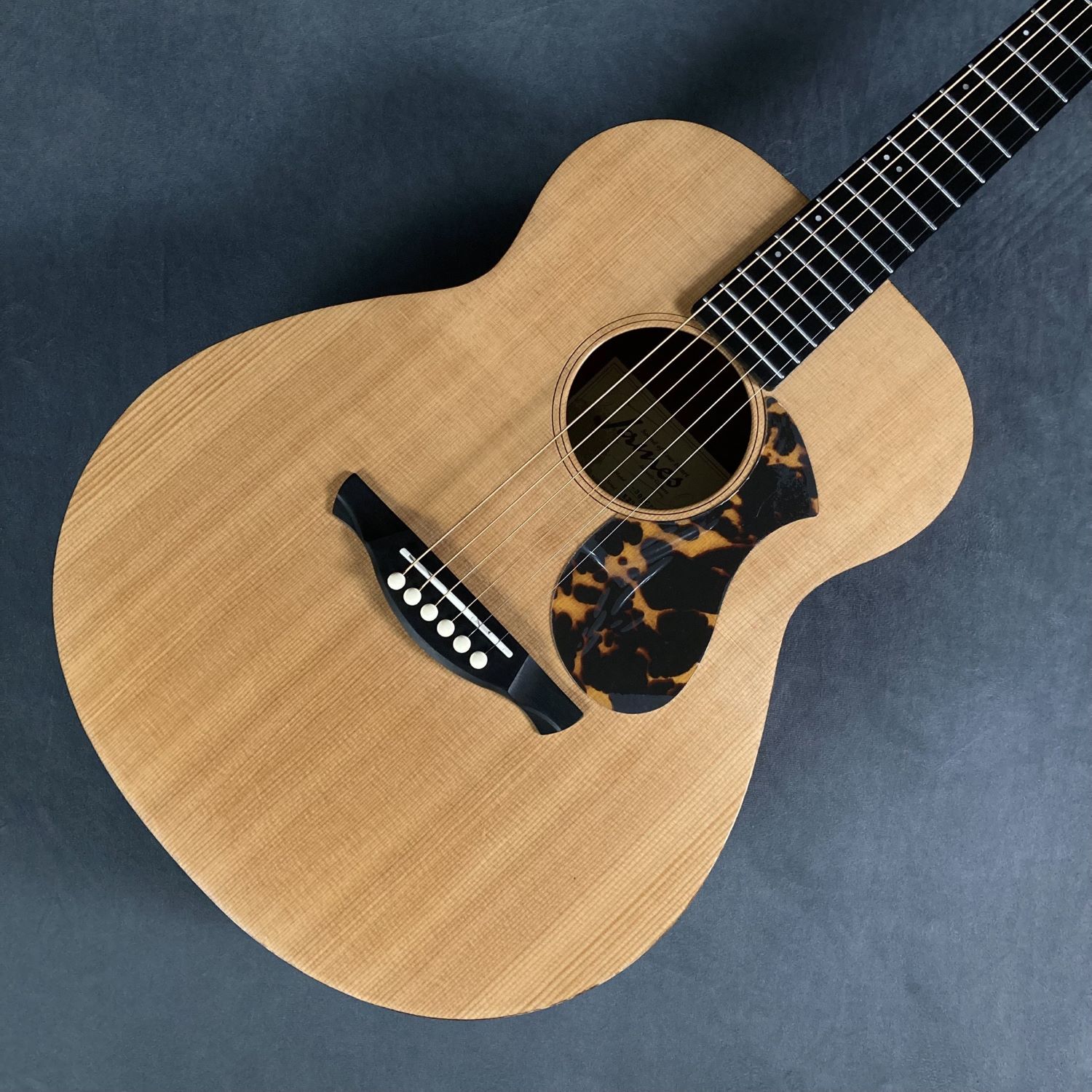 James　アコースティックギターJ-300CP/S　NAT