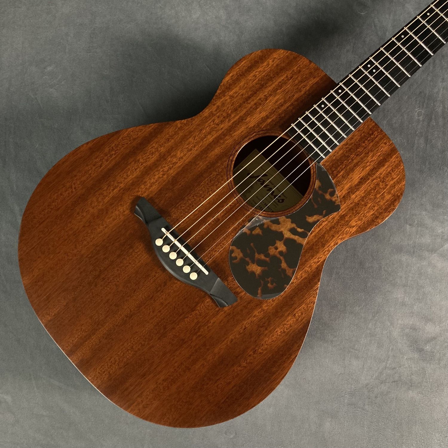James　アコースティックギターJ-300CP/M NAM
