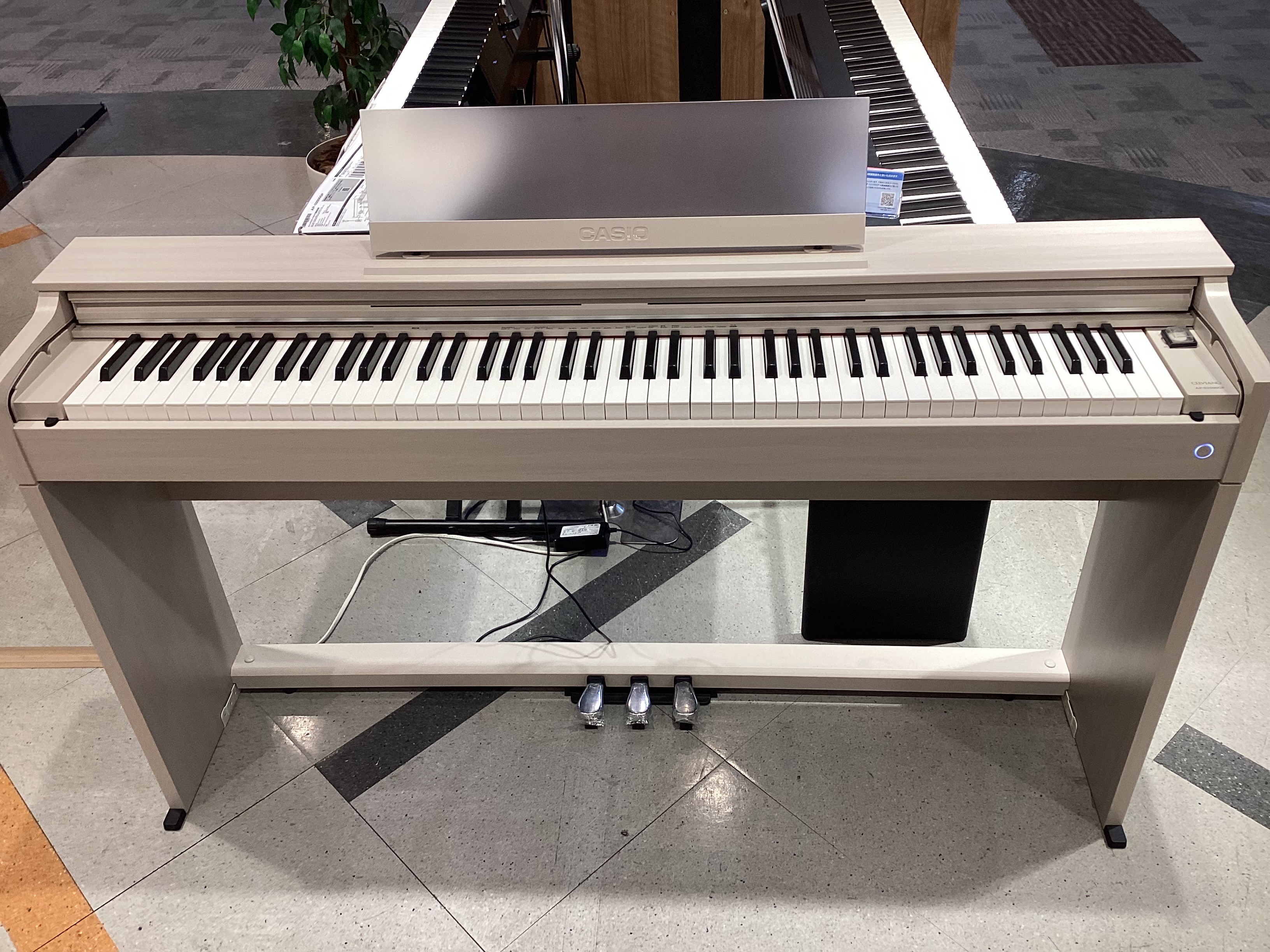 CASIOAP-S2500GP(※椅子別売)