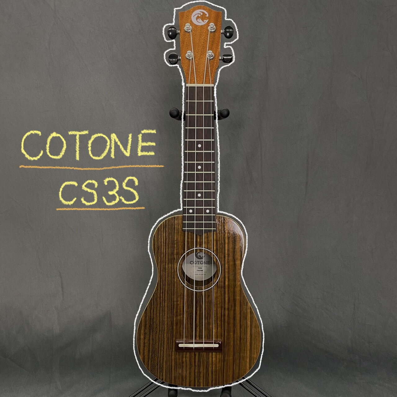 CS3S