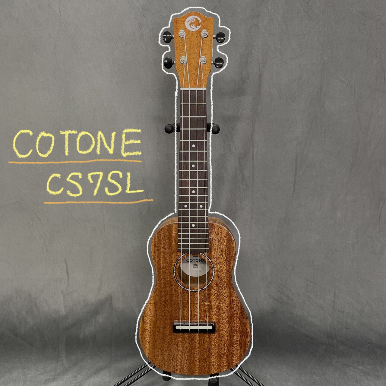 CS7SL
