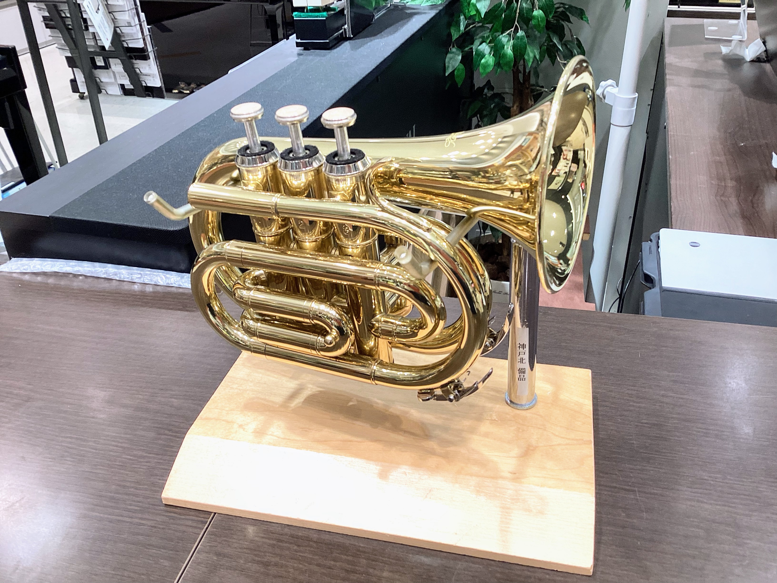 Kaerntner　トランペットKTR33P GD