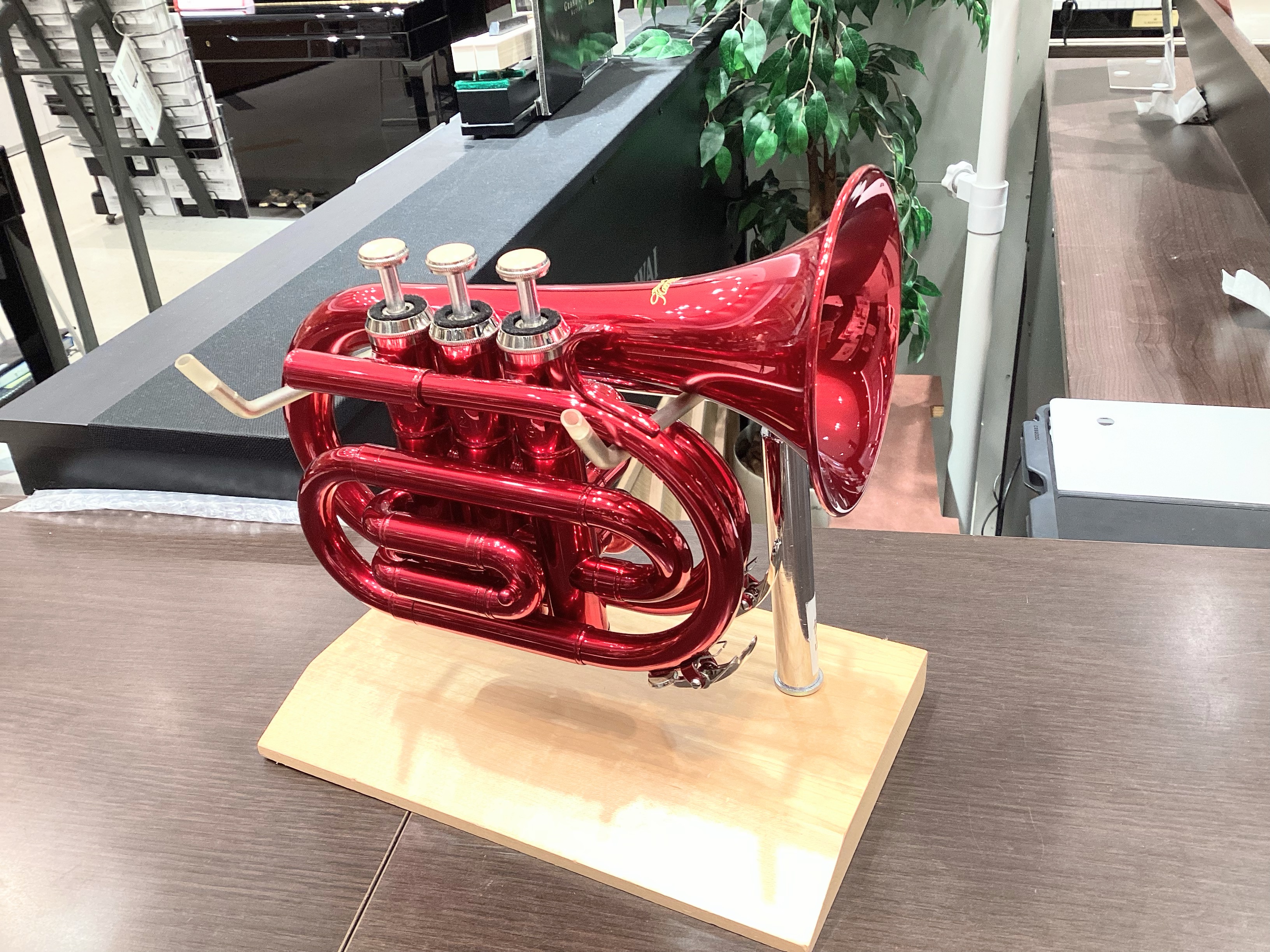 Kaerntner　トランペットKTR33P MRD 