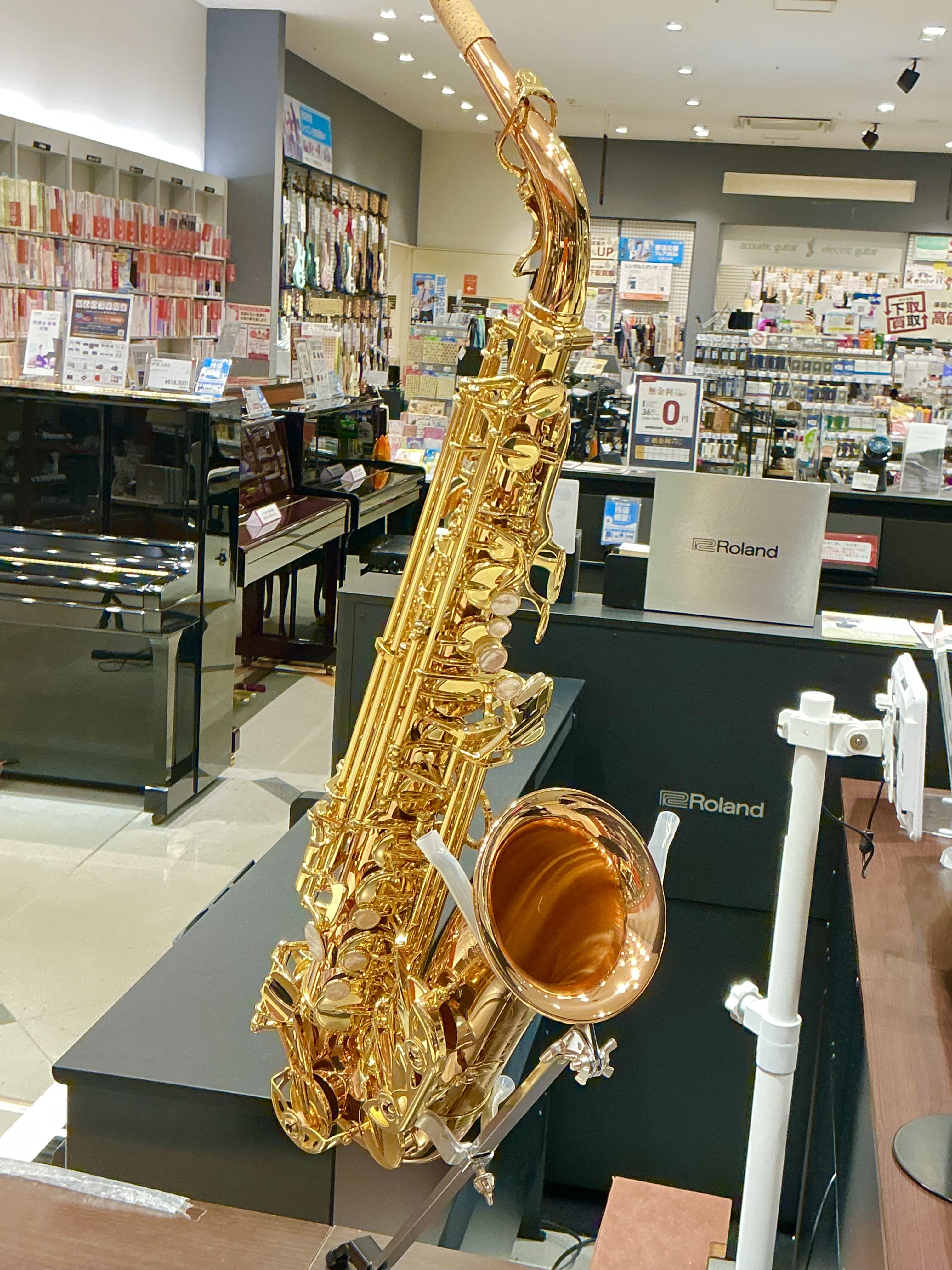 YANAGISAWAA-WO20