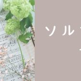 【山梨・甲府　大人のためのソルフェージュサロン】楽譜の読み方、音楽の基礎を学んでみませんか？