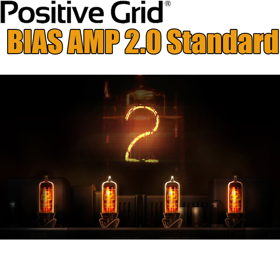 Positive Grid(ポジティブグリッド)BIAS AMP 2.0 Standard