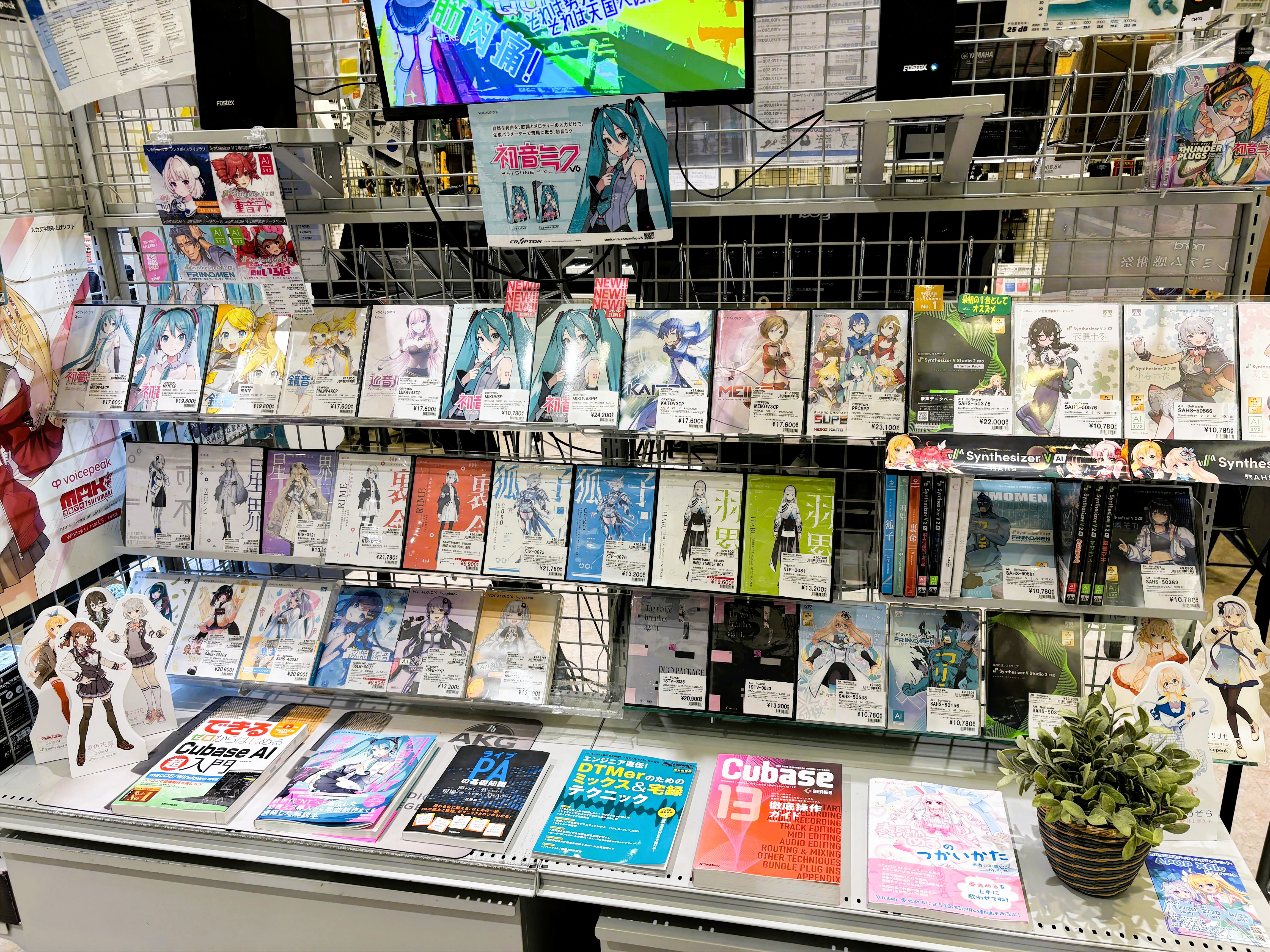宣材ポジ 洋楽 27枚まとめ売り ポニーキャニオン | 死んだ！【通常盤】-オーイシマサヨシ ミュージシャン