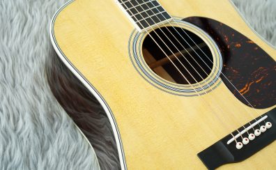 【新品入荷】Martin / D-35 Standard