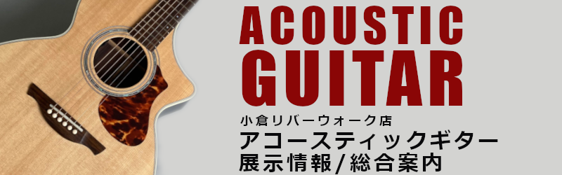 アコースティックギター展示情報・総合案内