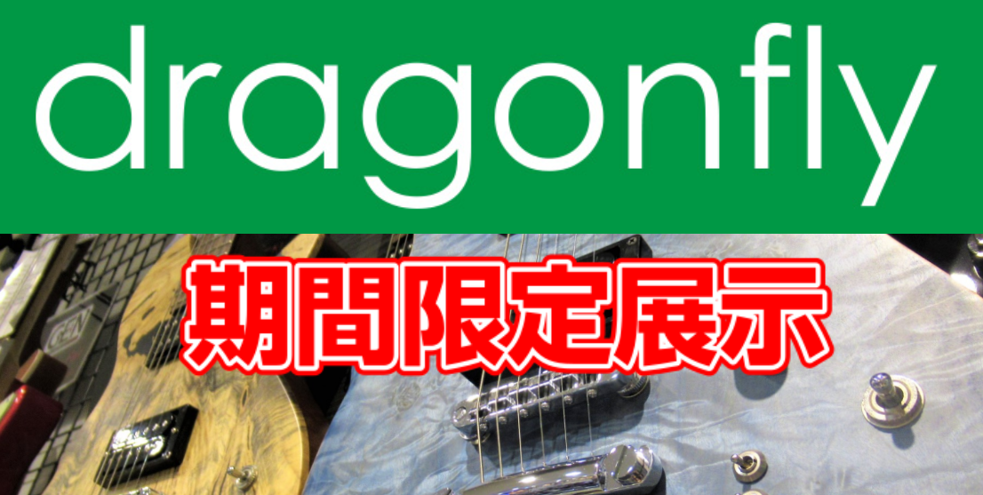 【エレキギター・ベース】dragonfly 期間限定大量展示!!