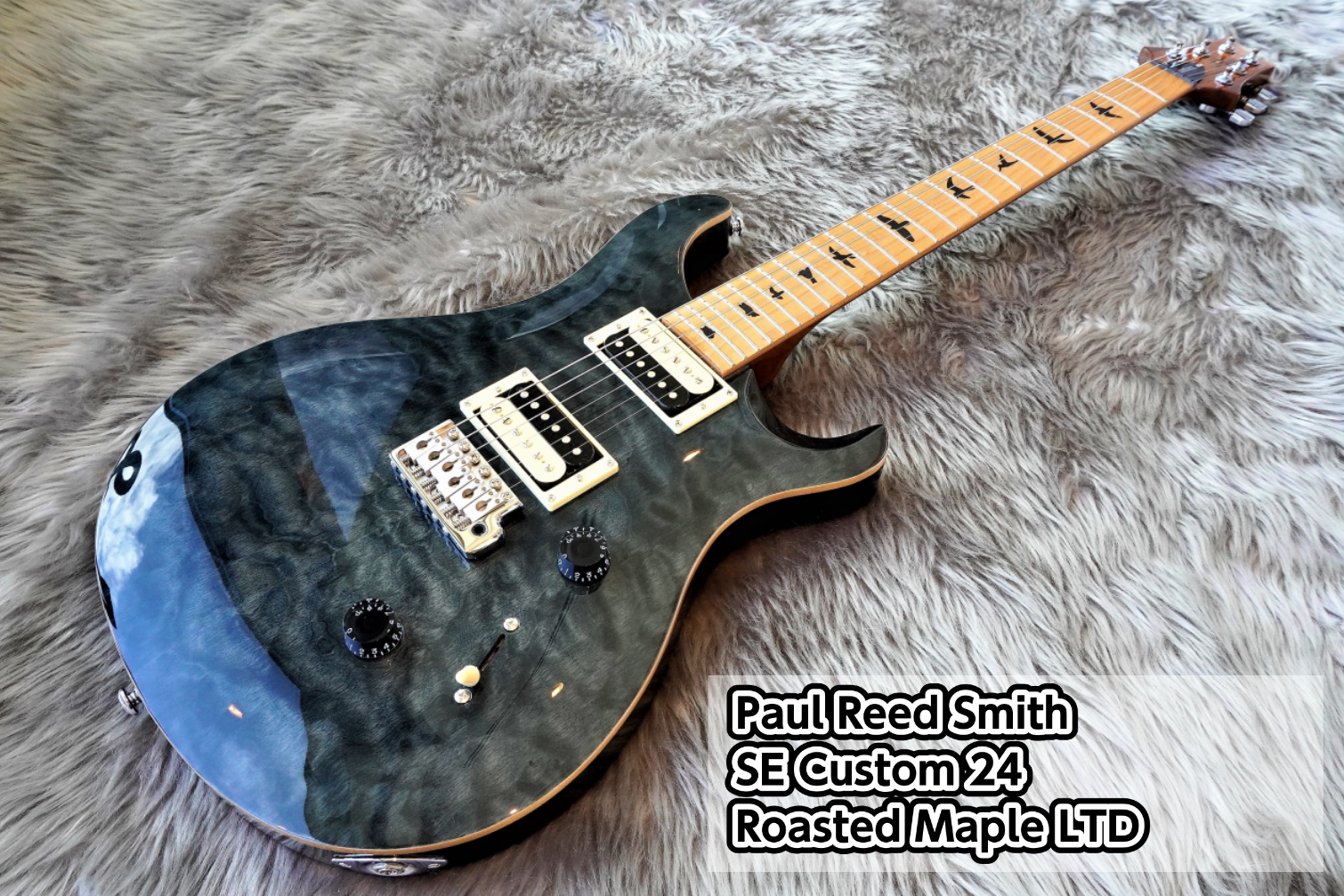 【新製品】Paul Reed Smith 限定モデル SE Custom 24 Roasted Maple LTD(GN)入荷のご案内！