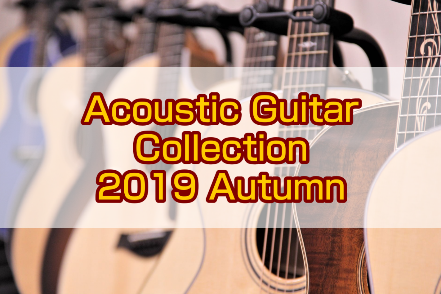 (11/1 18:30更新)【11/2(土)～11/4(月)】アコースティックギターコレクション2019-秋-開催！！