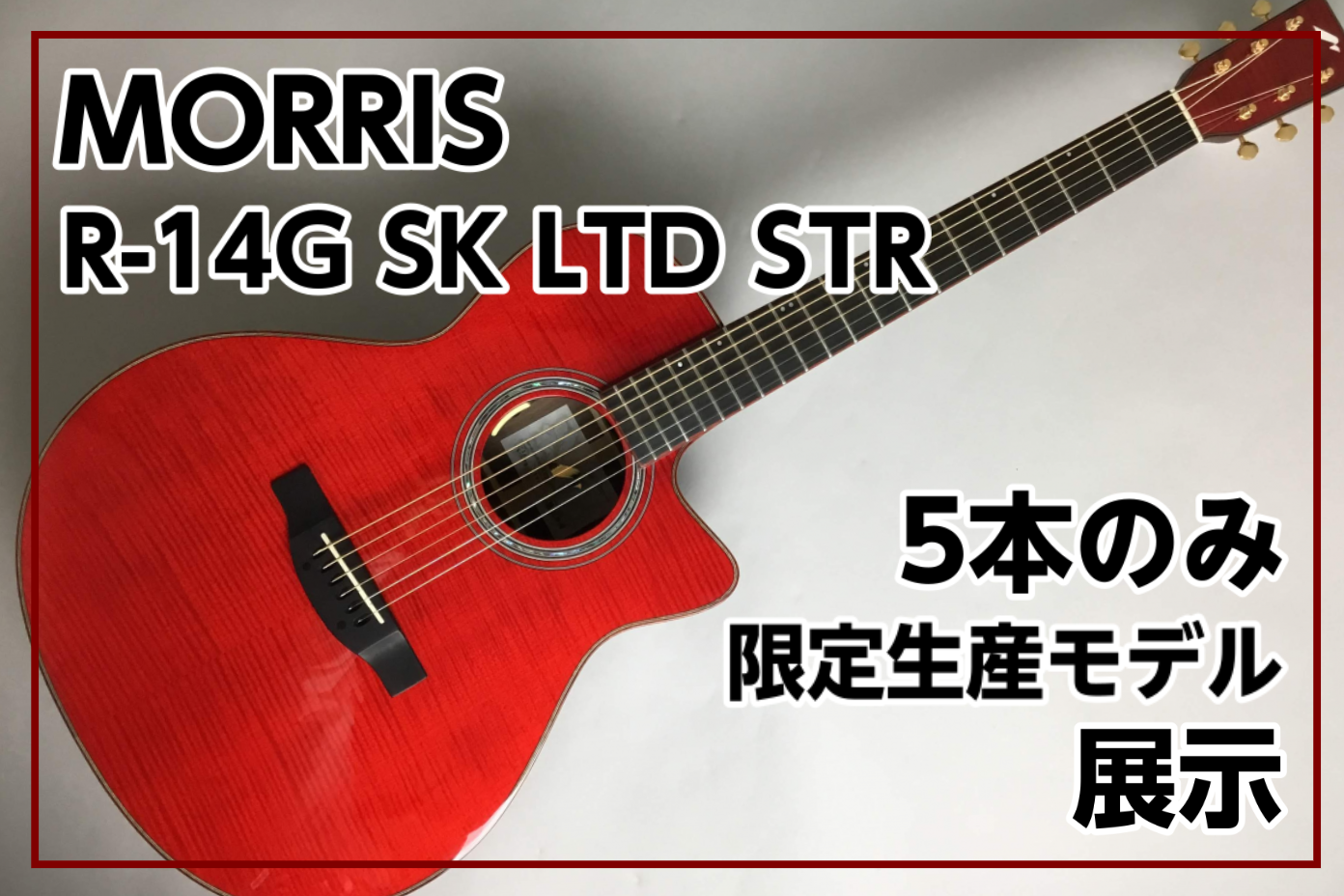 【九州5本限定 エレアコ】Morris（モーリス） R-14G SK LTD STR 入荷！！