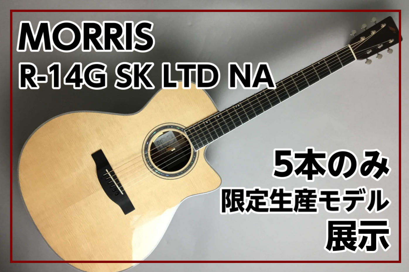 【送料無料】Morris R-14G/アコースティックギター/エレアコ/国産