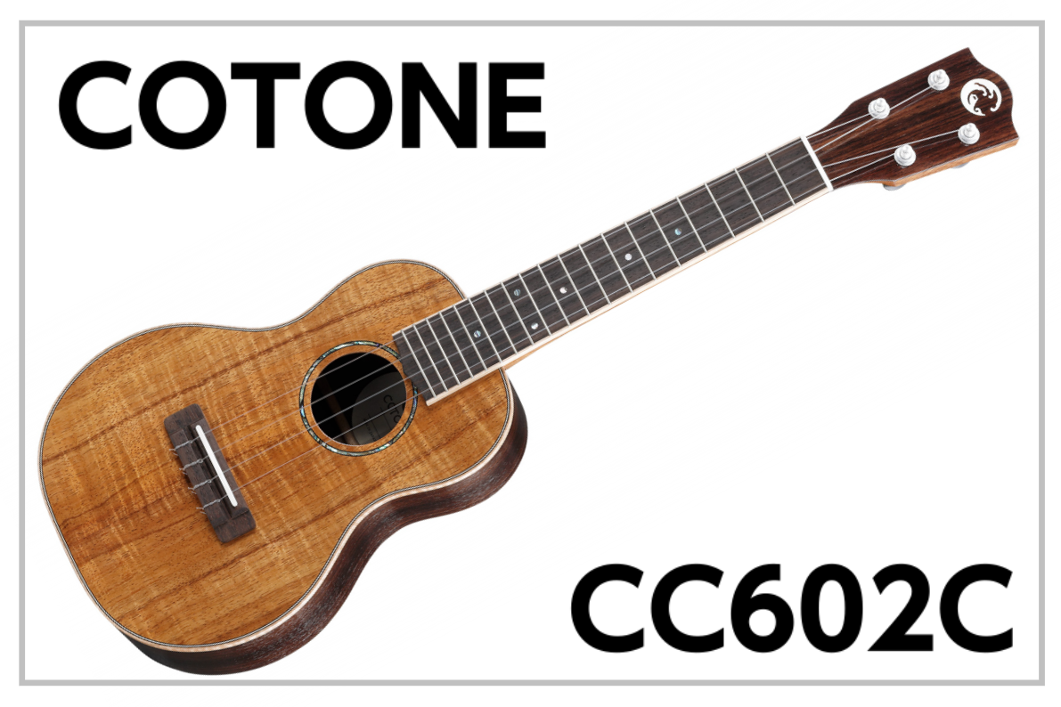 COTONE CC602C -コンサートサイズウクレレ-展示中