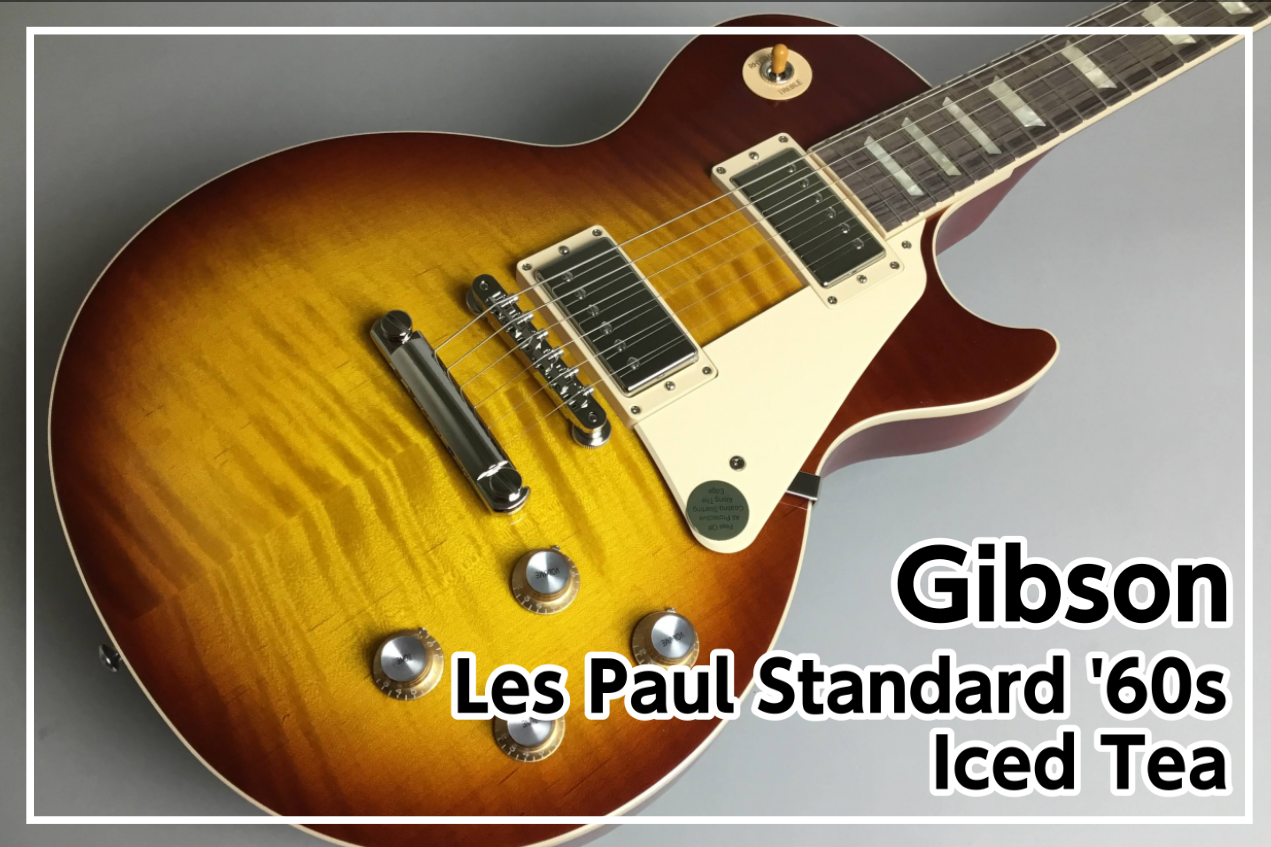 Gibson Les Paul Standard ’60s Iced Tea入荷!!