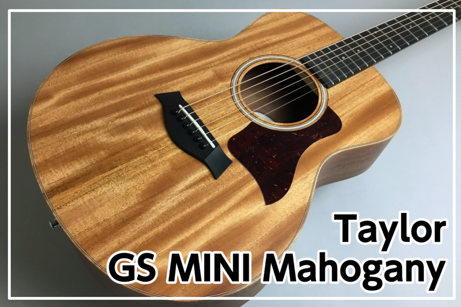 Taylor GS MINI Mahogany 入荷のご案内