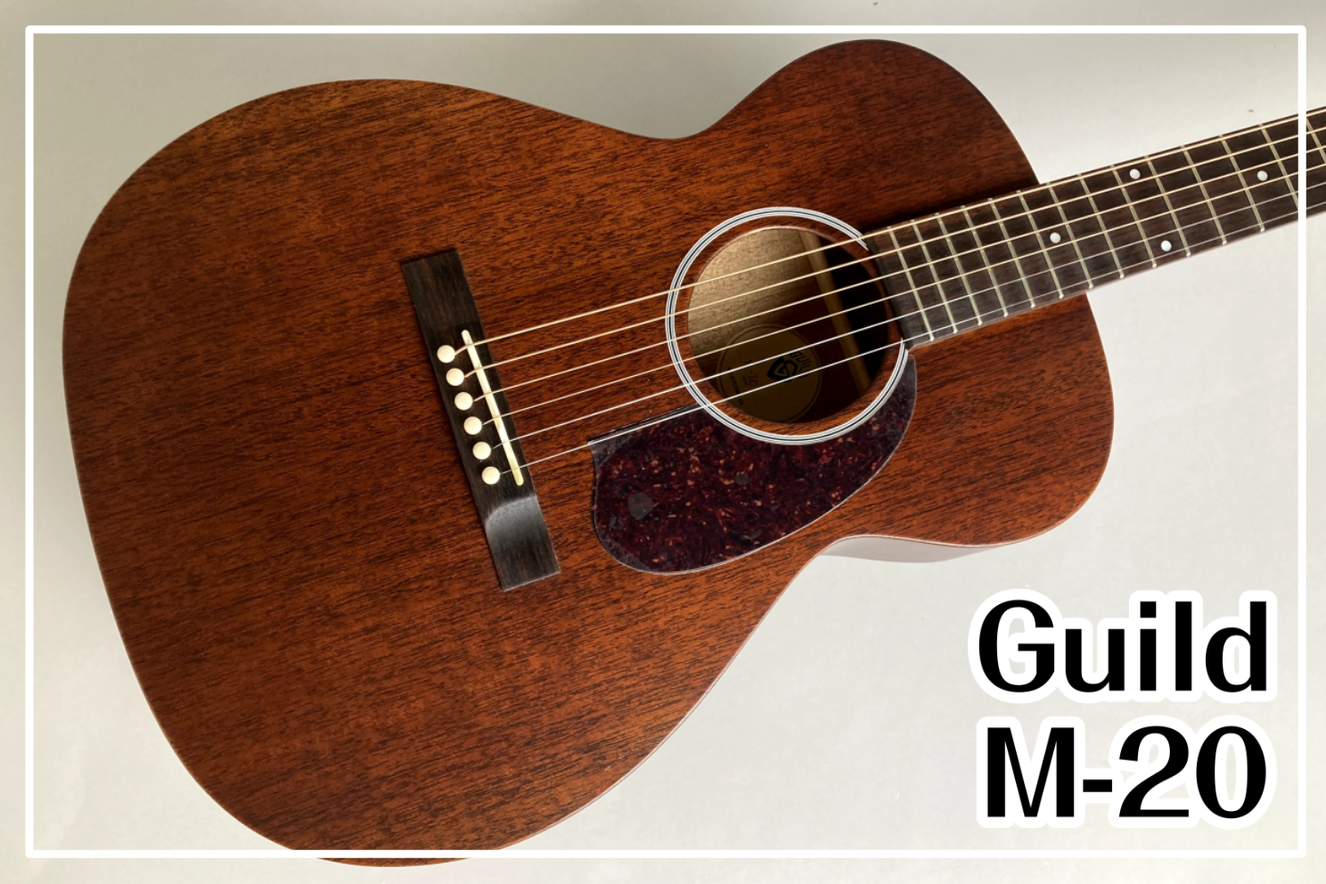 Guild M-20 NAT展示！