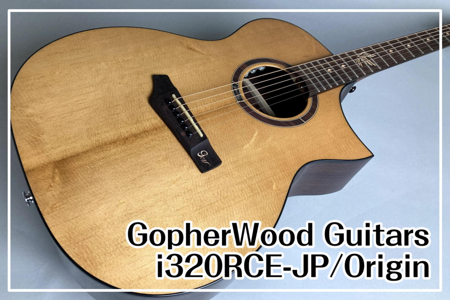 Gopherwood Guitars i320RCE-JP/Origin 入荷！
