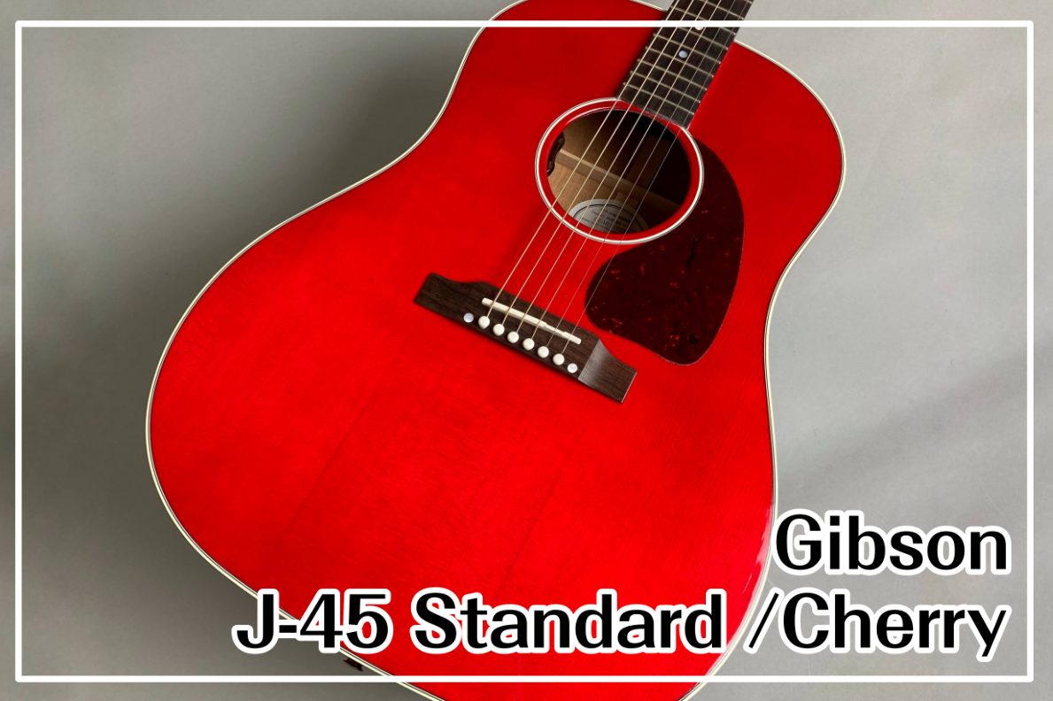Gibson J-45 Standard / Cherry 入荷！