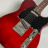 【入荷情報】SCHECTER  PS-PT-MH/R スポットモデル入荷！