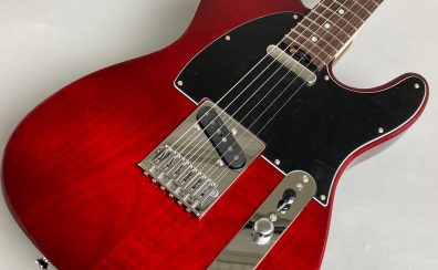 【入荷情報】SCHECTER  PS-PT-MH/R スポットモデル入荷！