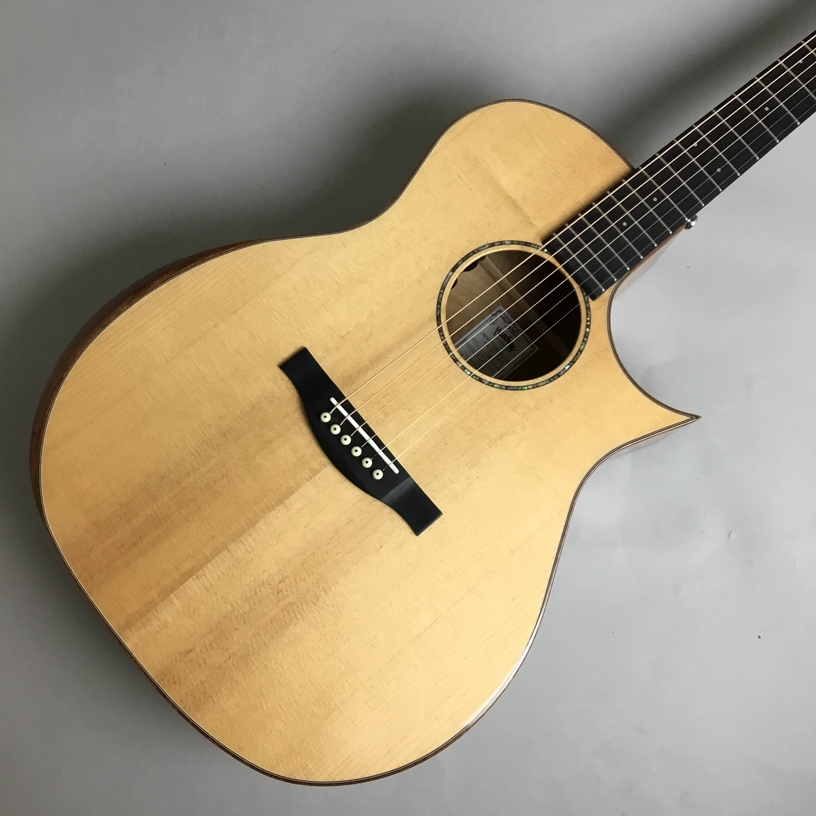 アコースティックギター(エレアコ)HGAF-5100SE/FMY-C