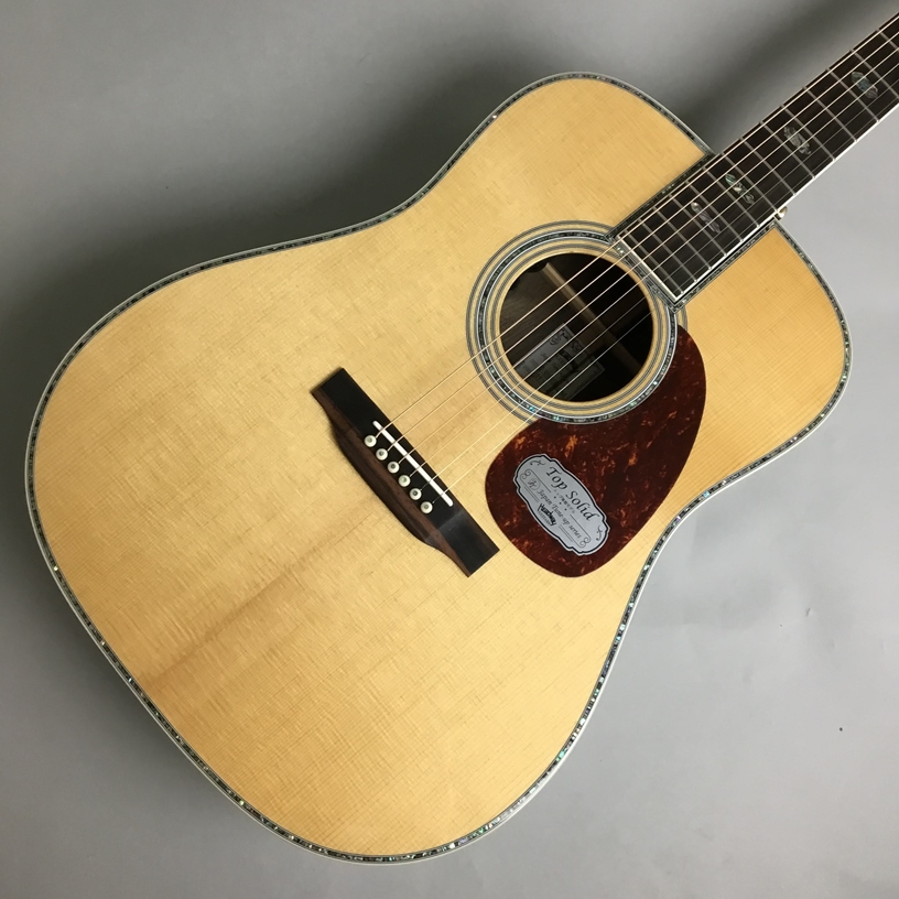 アコースティックギター(エレアコ)HD-V150SE/45