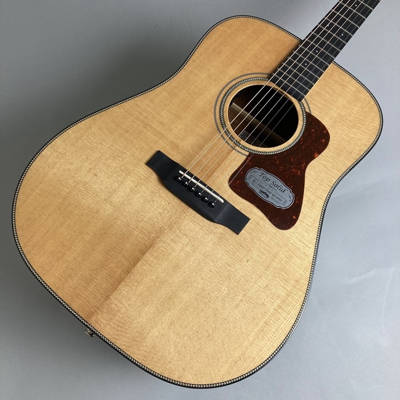 アコースティックギター(エレアコ)HD-5080SE
