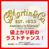 【6月1日より価格改定】Martin Guitar 値上がり前のラストチャンス！