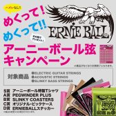 【ERNIE BALL】めくってめくってアーニーボール弦キャンペーン！