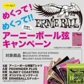 【ERNIE BALL】めくってめくってアーニーボール弦キャンペーン！