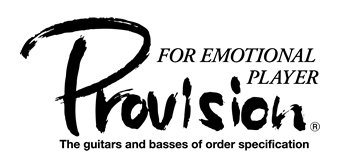 Provision Guitar