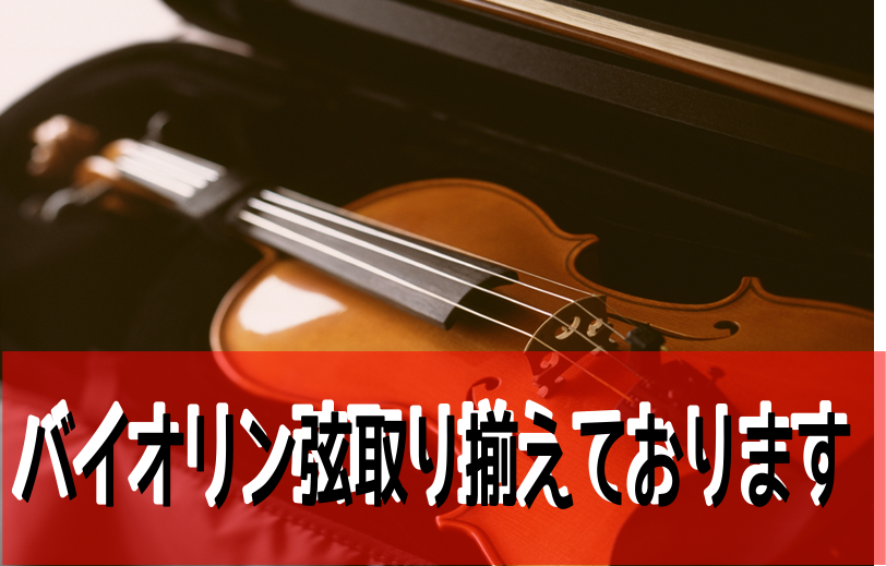 【弦楽器】定番のバイオリン弦も取り揃えております。